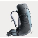 Deuter AC Lite 22SL